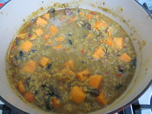 red lentil and sweet potato dahl